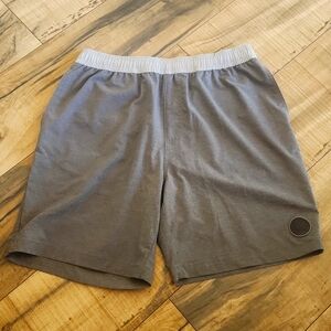 Chubbies Shorts Mens Medium Gray Stretch 7” Performance